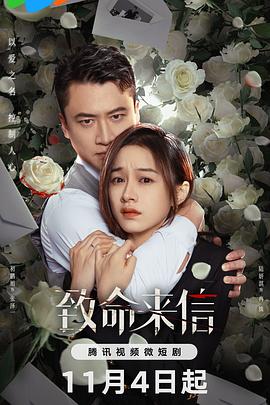 国产镜子视频海报剧照