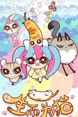 韩国伦理最新版免费观看海报剧照