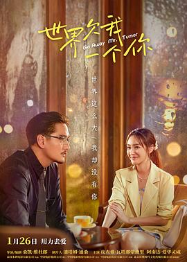 老婆的手艺还不错海报剧照